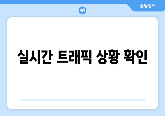 실시간 트래픽 상황 확인