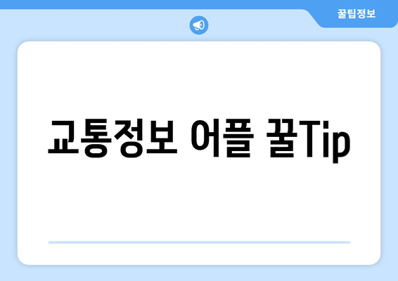 교통정보 어플 꿀Tip