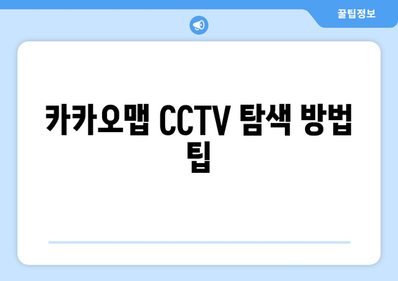 카카오맵 CCTV 탐색 방법 팁