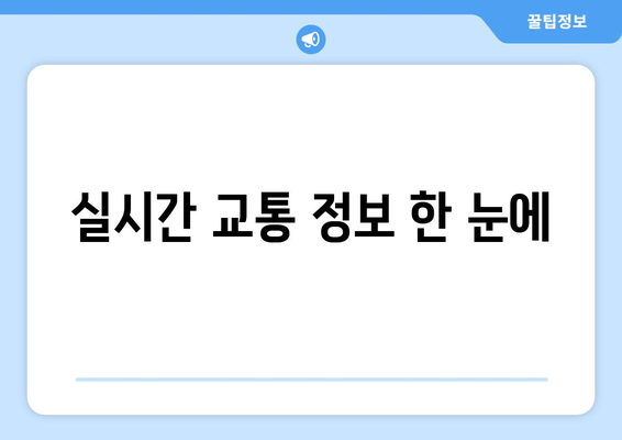 실시간 교통 정보 한 눈에