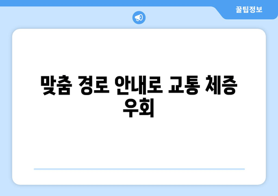 맞춤 경로 안내로 교통 체증 우회