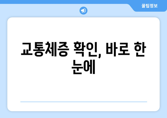 교통체증 확인, 바로 한 눈에