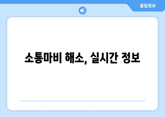 소통마비 해소, 실시간 정보