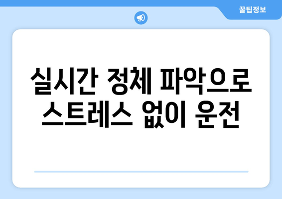 실시간 정체 파악으로 스트레스 없이 운전