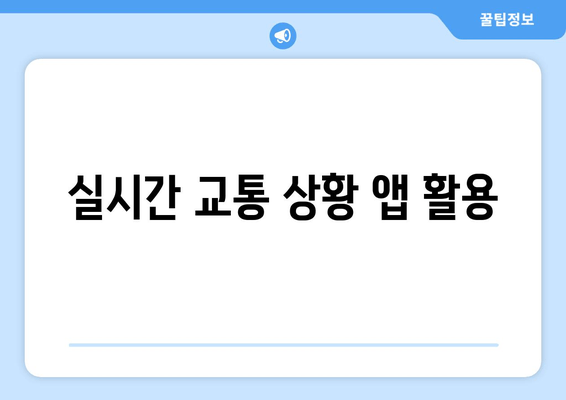 실시간 교통 상황 앱 활용