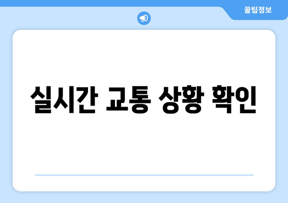 실시간 교통 상황 확인