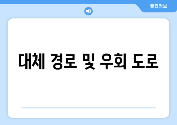 대체 경로 및 우회 도로