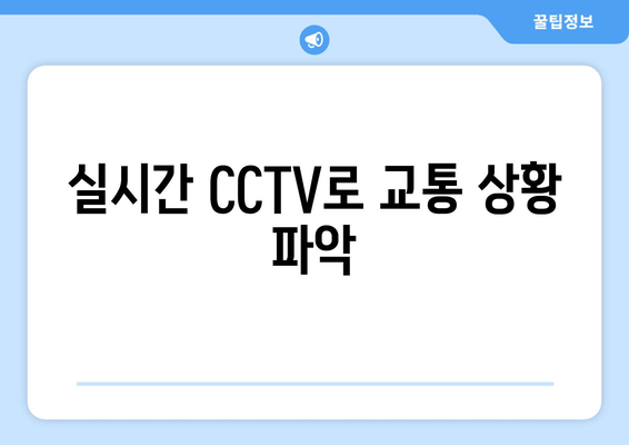 실시간 CCTV로 교통 상황 파악