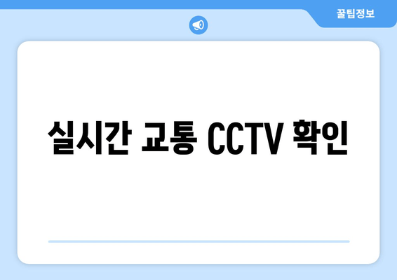 실시간 교통 CCTV 확인