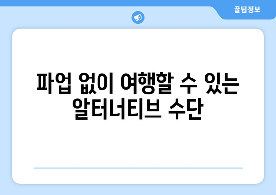 파업 없이 여행할 수 있는 알터너티브 수단