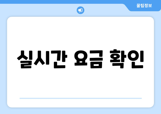 실시간 요금 확인