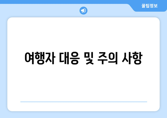 여행자 대응 및 주의 사항