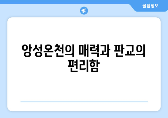 앙성온천의 매력과 판교의 편리함