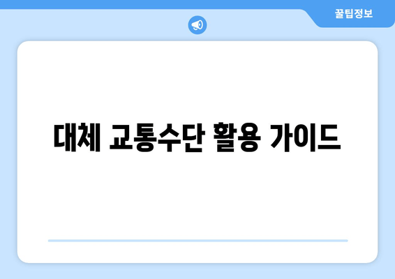 대체 교통수단 활용 가이드