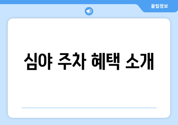 심야 주차 혜택 소개