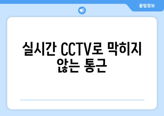 실시간 CCTV로 막히지 않는 통근