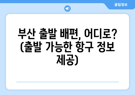 부산 출발 배편, 어디로? (출발 가능한 항구 정보 제공)