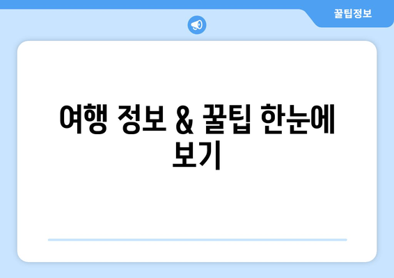 여행 정보 & 꿀팁 한눈에 보기