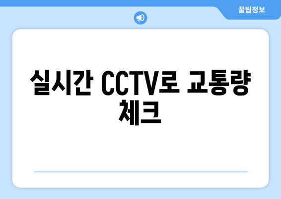 실시간 CCTV로 교통량 체크