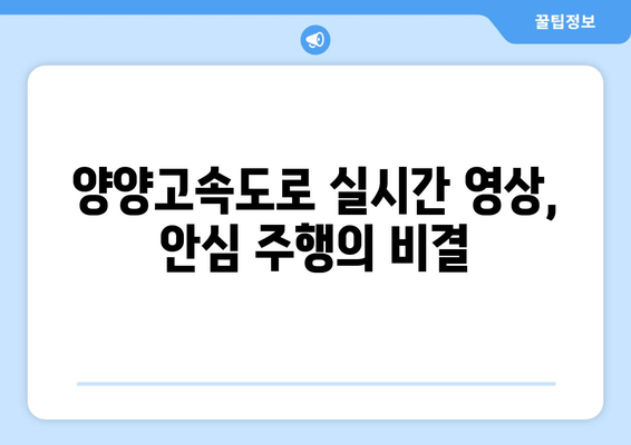 양양고속도로 실시간 영상, 안심 주행의 비결