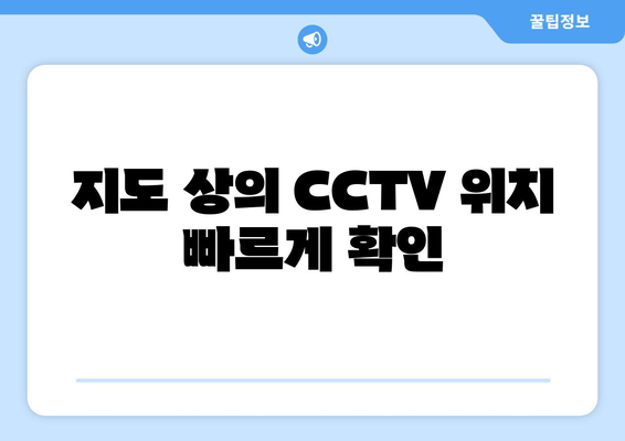 지도 상의 CCTV 위치 빠르게 확인