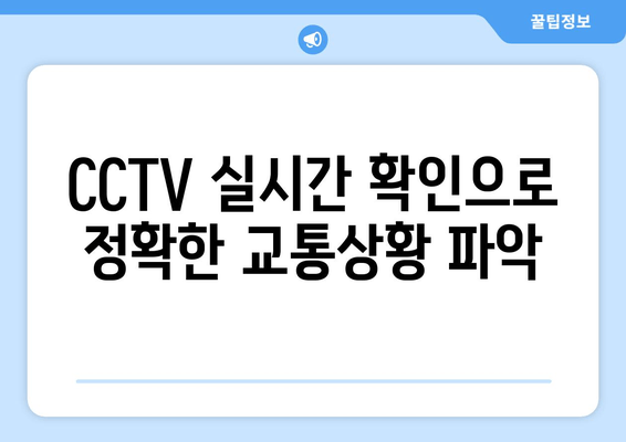 CCTV 실시간 확인으로 정확한 교통상황 파악