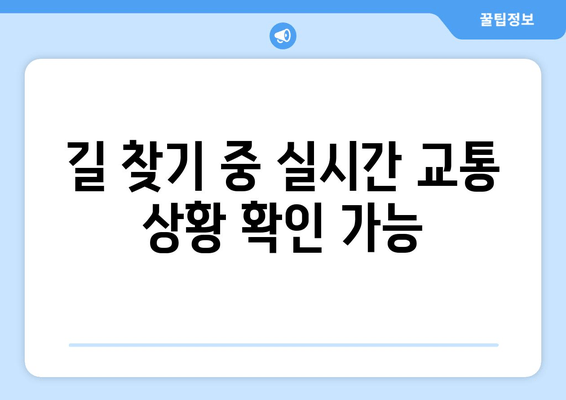 길 찾기 중 실시간 교통 상황 확인 가능