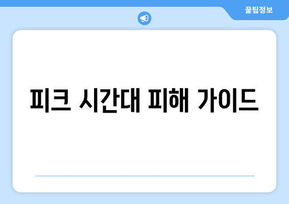 피크 시간대 피해 가이드