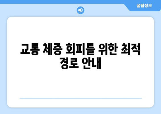 교통 체증 회피를 위한 최적 경로 안내