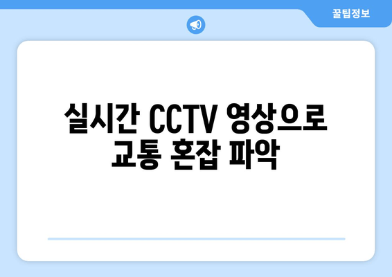 실시간 CCTV 영상으로 교통 혼잡 파악