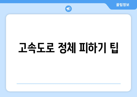 고속도로 정체 피하기 팁