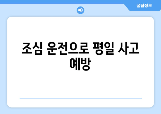 조심 운전으로 평일 사고 예방