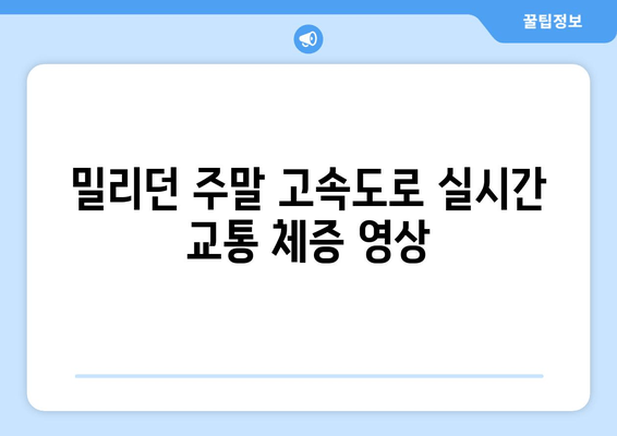 밀리던 주말 고속도로 실시간 교통 체증 영상