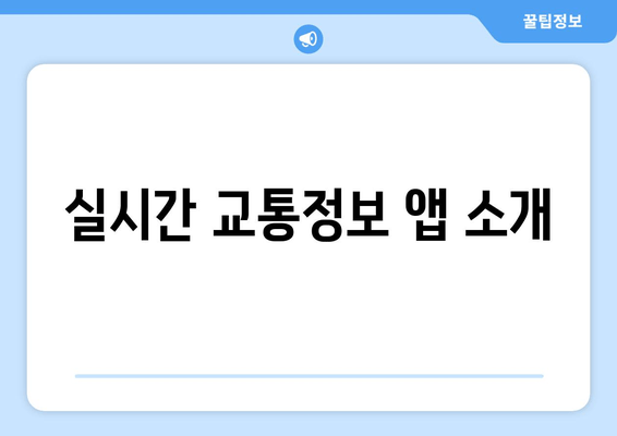 실시간 교통정보 앱 소개