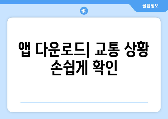 앱 다운로드| 교통 상황 손쉽게 확인