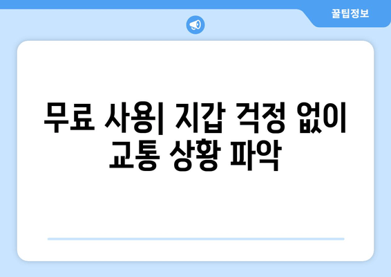 무료 사용| 지갑 걱정 없이 교통 상황 파악