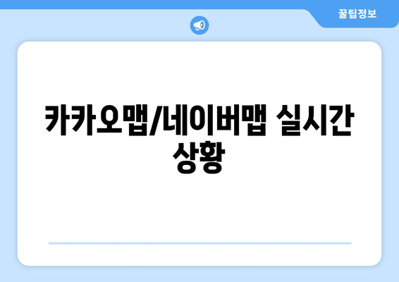 카카오맵/네이버맵 실시간 상황