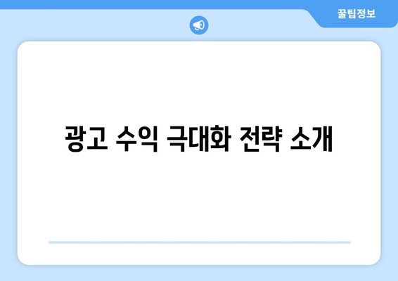 광고 수익 극대화 전략 소개