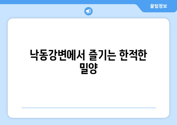 낙동강변에서 즐기는 한적한 밀양