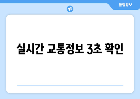 실시간 교통정보 3초 확인