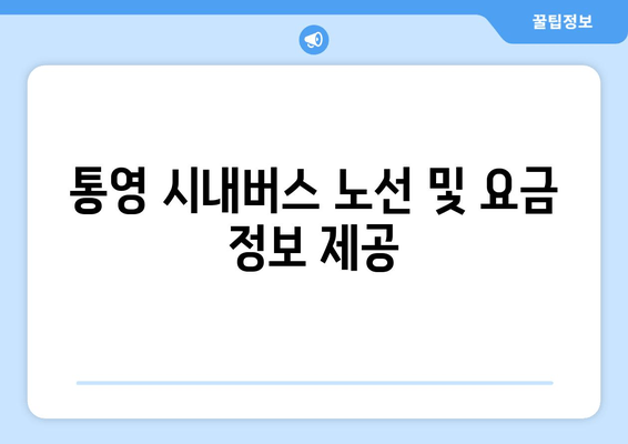 통영 시내버스 노선 및 요금 정보 제공