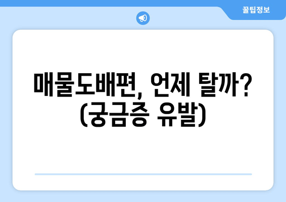 매물도배편, 언제 탈까? (궁금증 유발)