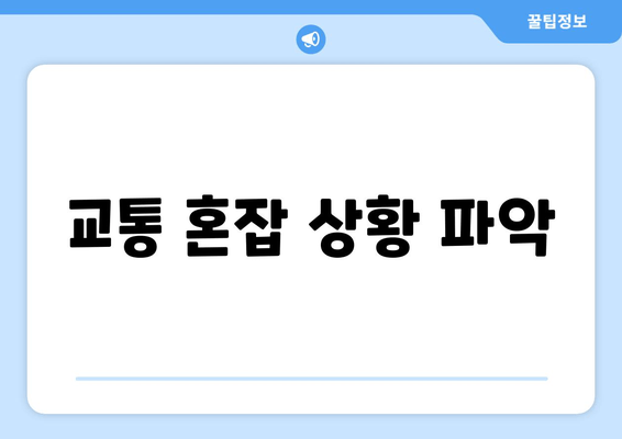 교통 혼잡 상황 파악