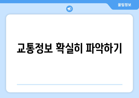 교통정보 확실히 파악하기