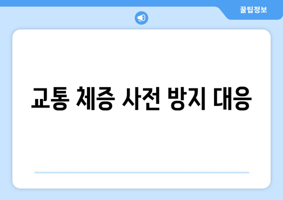 교통 체증 사전 방지 대응