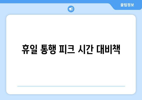 휴일 통행 피크 시간 대비책