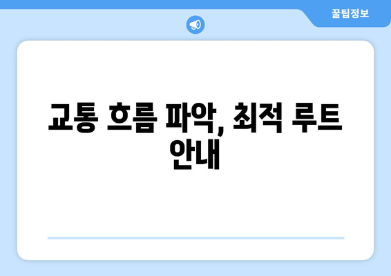 교통 흐름 파악, 최적 루트 안내