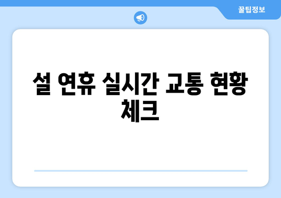 설 연휴 실시간 교통 현황 체크