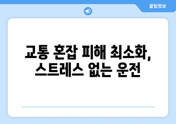 교통 혼잡 피해 최소화, 스트레스 없는 운전