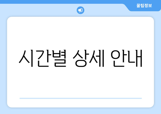 시간별 상세 안내